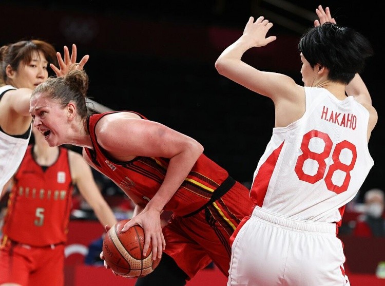 明日森林狼战雄鹿伤病：字母哥等6人缺席，爱德华兹可以出战（明日雄鹿对森林狼伤情：字母哥等六人缺阵，爱德华兹确认出战）