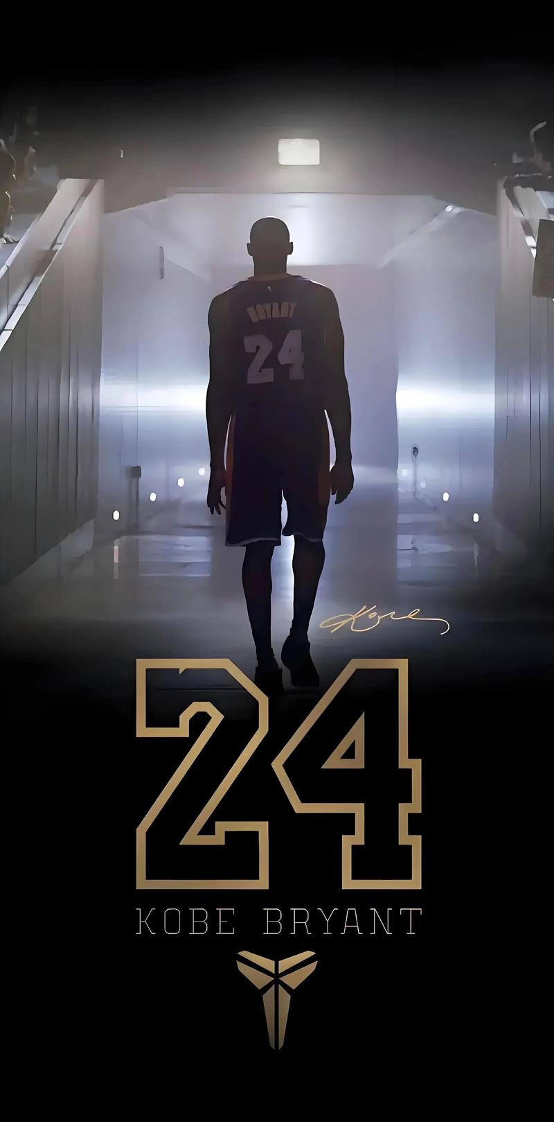 鹈鹕反击锡安连得5分追分（鹈鹕反扑，锡安连砍5分缩小分差）