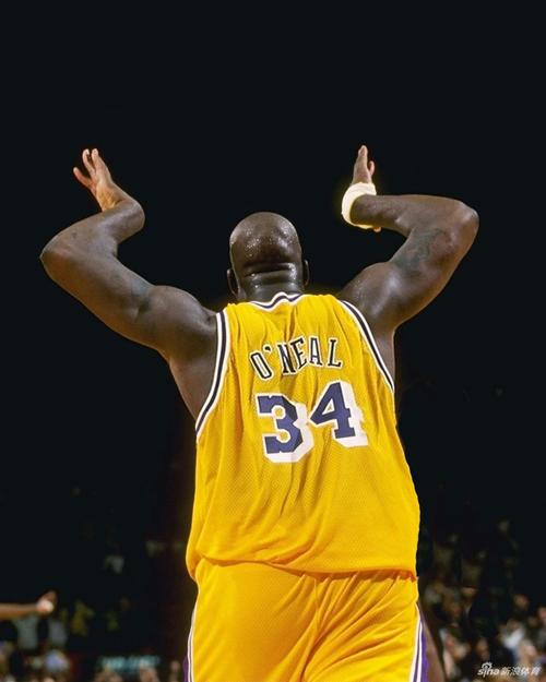 阿德莱德vs狮吼首发：约万诺维奇PK克莱因、奥谢先发（阿德莱德战狮吼首发出炉：约万诺维奇对决克莱因，奥谢首发登场）